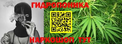 молекула духа Нальчик