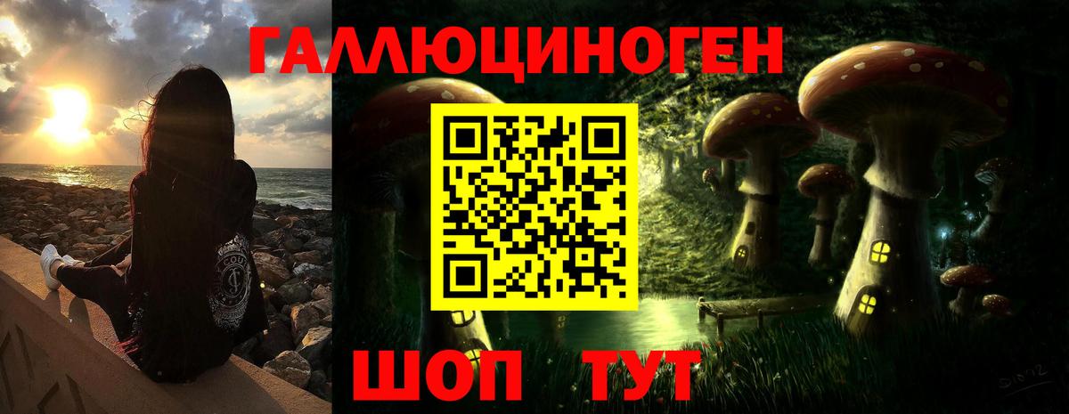 Галлюциногенные грибы Psilocybe Сланцы